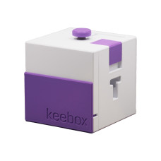 Keebox Purple Scatola Rompicapo Escape Room in una Scatola Livello 2
